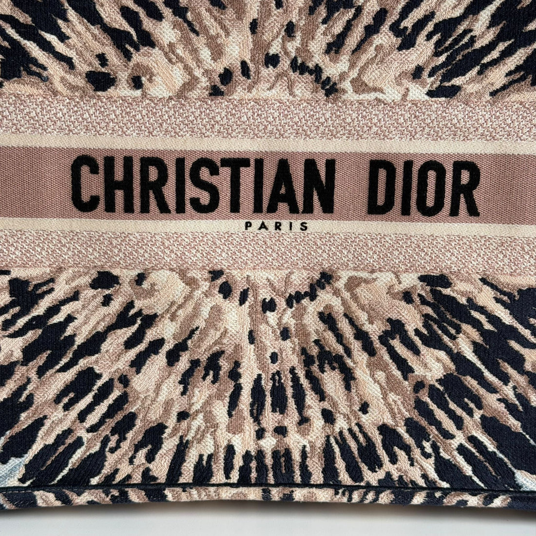 Dior Book Tote